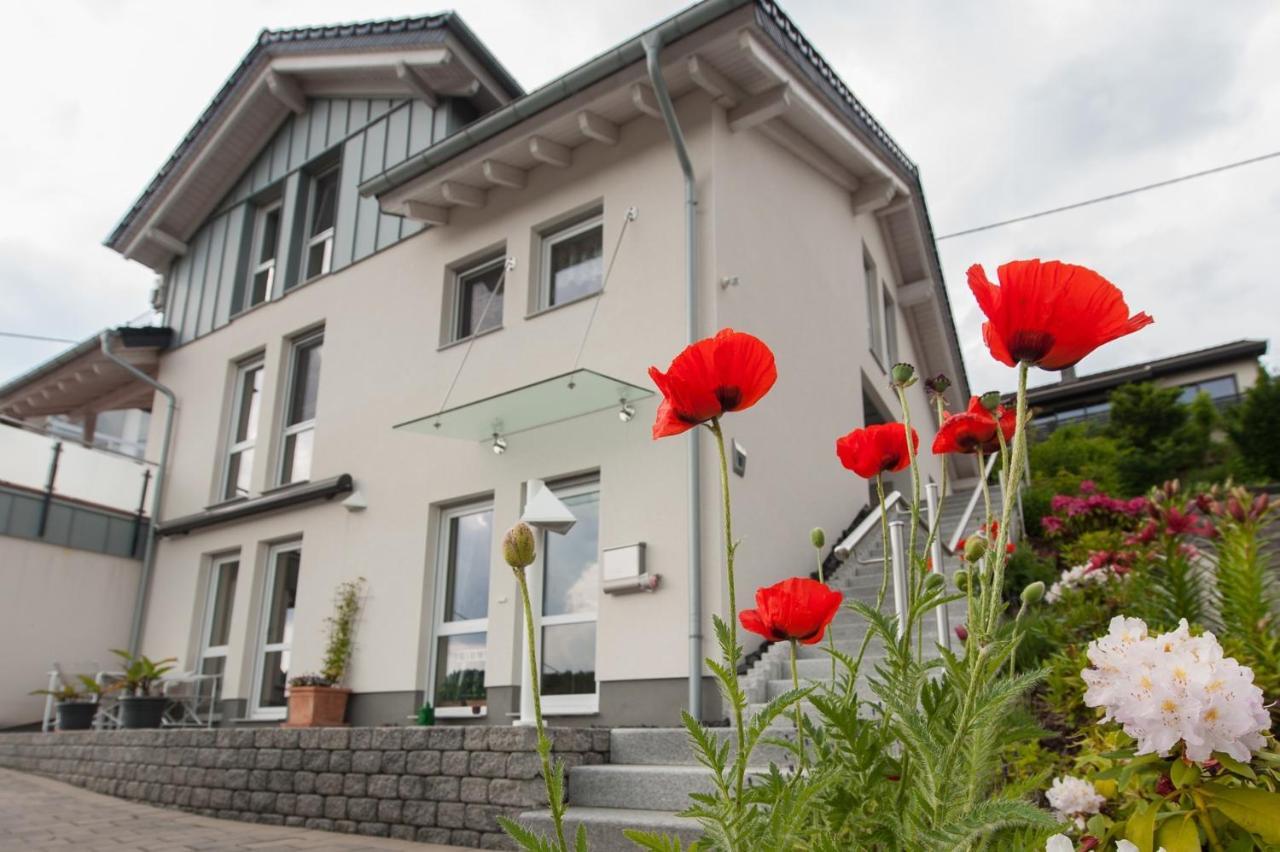 Wohnung mit Talblick, Ladestation E-Auto Siegen Exterior foto