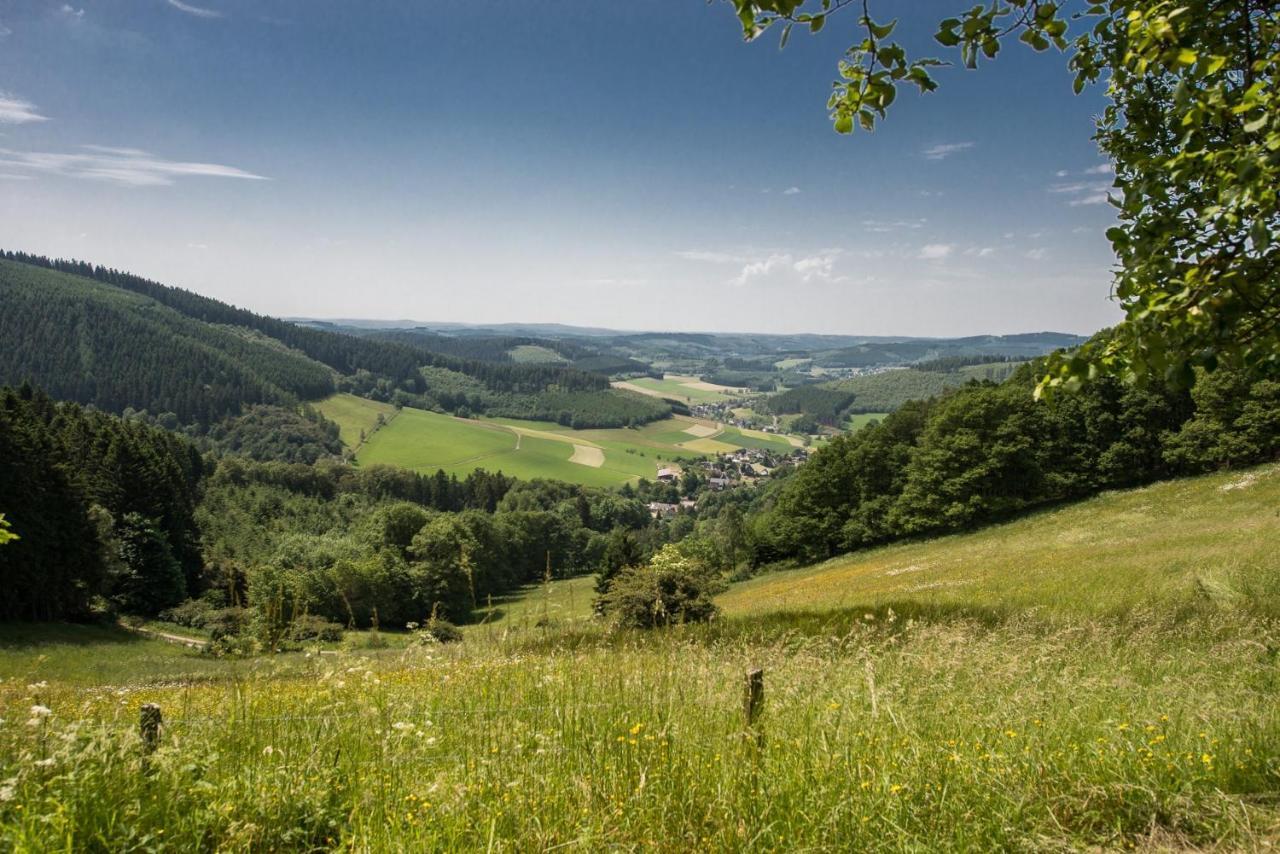 Wohnung mit Talblick, Ladestation E-Auto Siegen Exterior foto